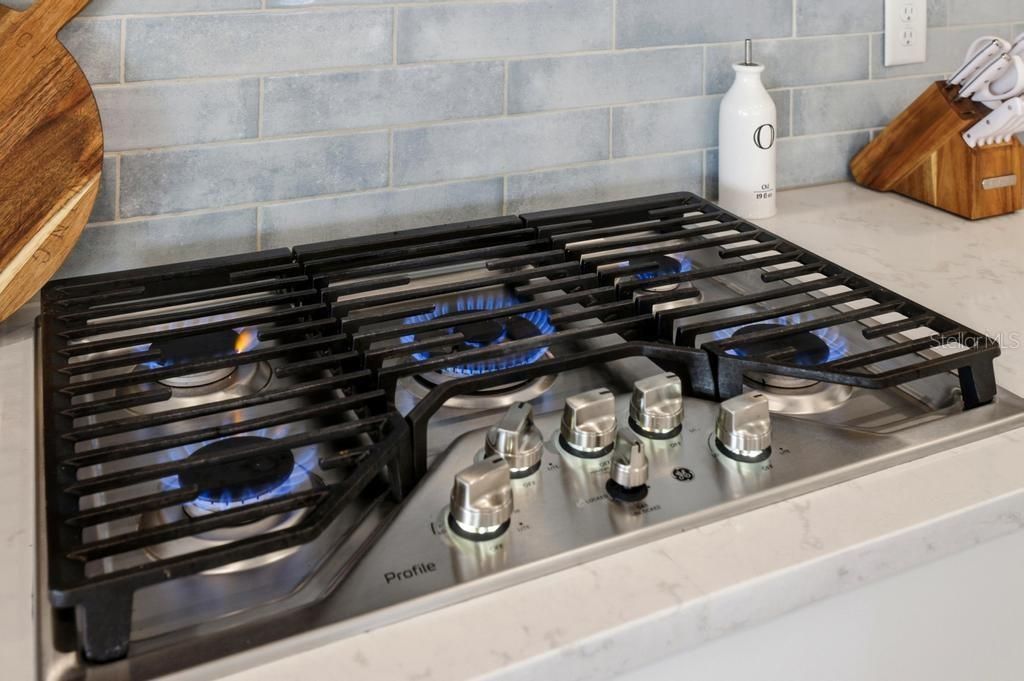 17731 Savory Mist Circle, Bradenton, FL 34211 Photo