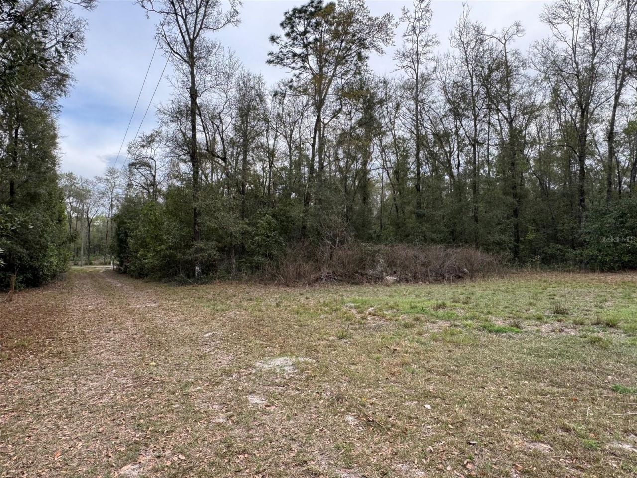 4317 284th Street, Branford, FL 32008 Photo