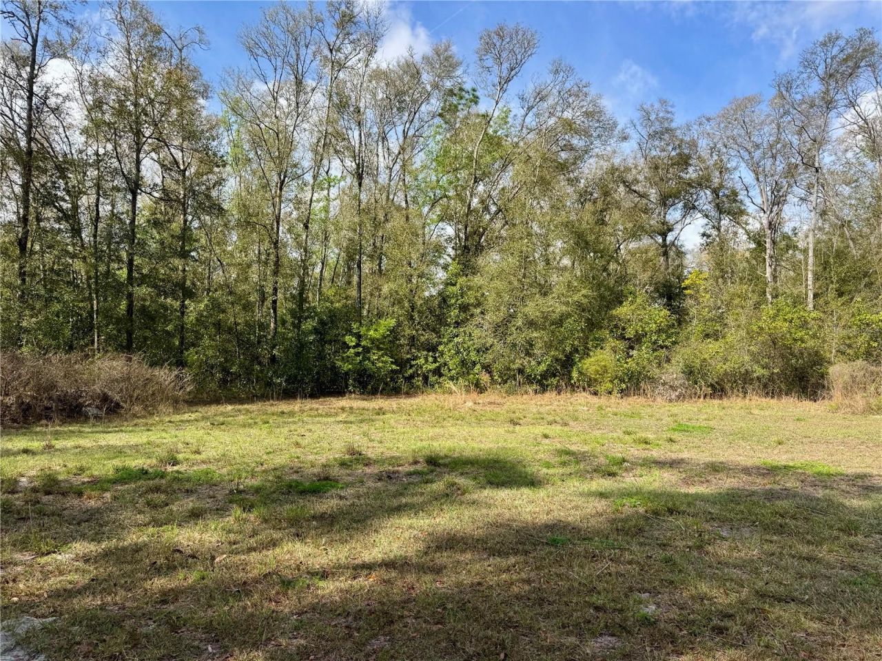 4317 284th Street, Branford, FL 32008 Photo