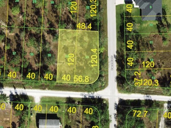 13077 PANATELLA DRIVE, PUNTA GORDA, FL 33955