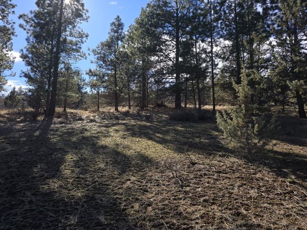 Wilderness Way, Unit 29, Klamath Falls, OR 97601