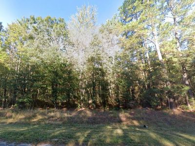 0 Thirty Five Mile Road, Ridgeville, SC 29472