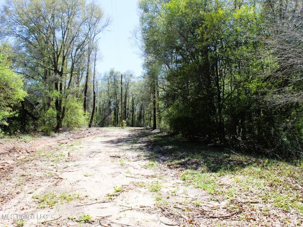 1.7 Acres Oakhaven Drive, Lucedale, MS 39452