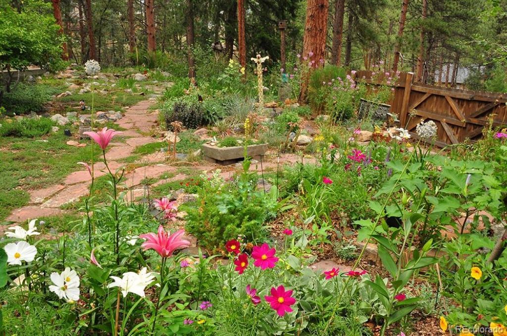 3137 Meadow View Road, Evergreen, CO 80439 Main Photo