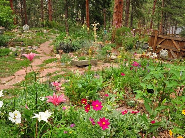 3137 Meadow View Road, Evergreen, CO 80439