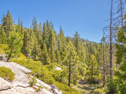 0000 Hampshire Rocks Road, Emigrant Gap, CA 95715 Photo