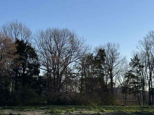 4030 Trinity Rd , Franklin, TN 37067