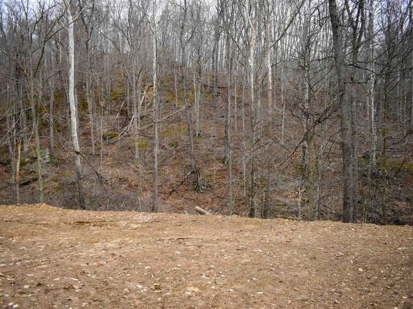 5320 Dunkle Branch Road, Lavalette, WV 25535