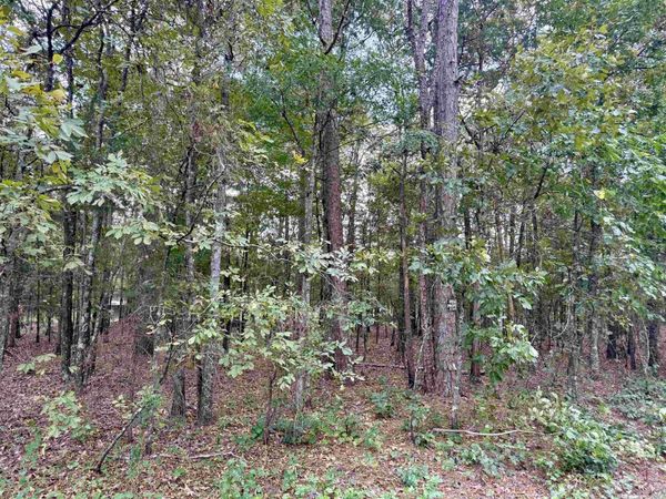 Lot 5 & 6 Ellen, Higden, AR 72067
