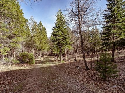 1771 Diamond Mountain Road, Greenville, CA 95947 Photo