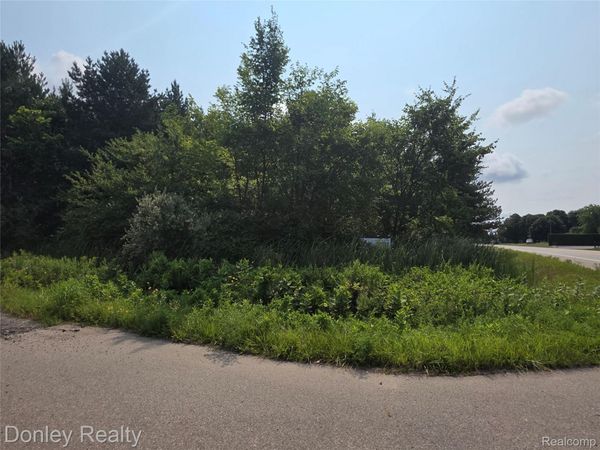 20 Vacant Lots Concord, Cranbrook & Tulane, Marlette, Mi 48453