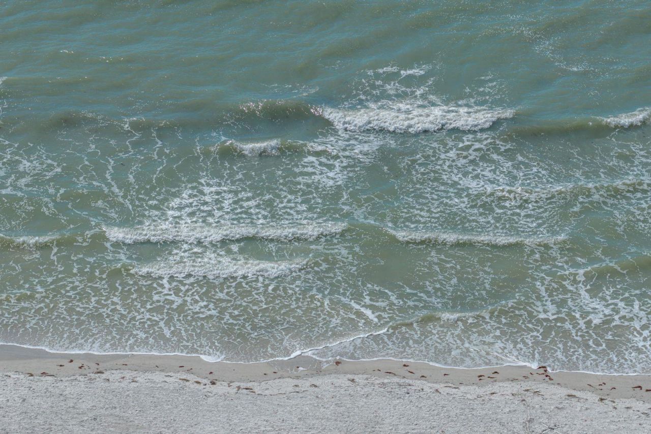 19417 Gulf Boulevard, Unit F108, Indian Shores, FL 33785 Photo