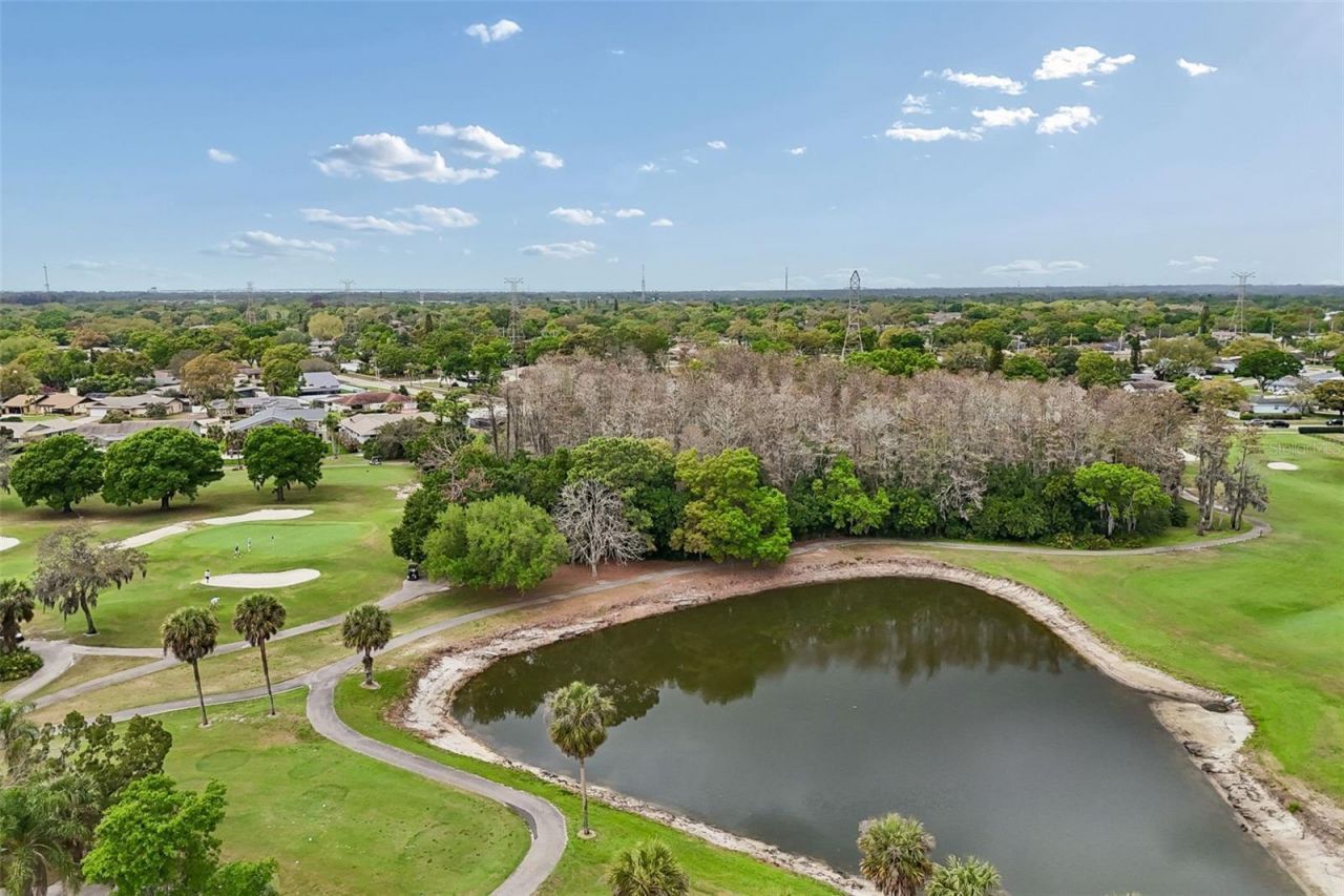 3225 Masters Drive, Clearwater, FL 33761 Photo