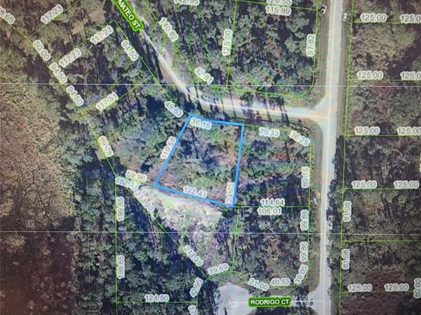 8674 SAN MATEO STREET , SEBRING, FL 33872