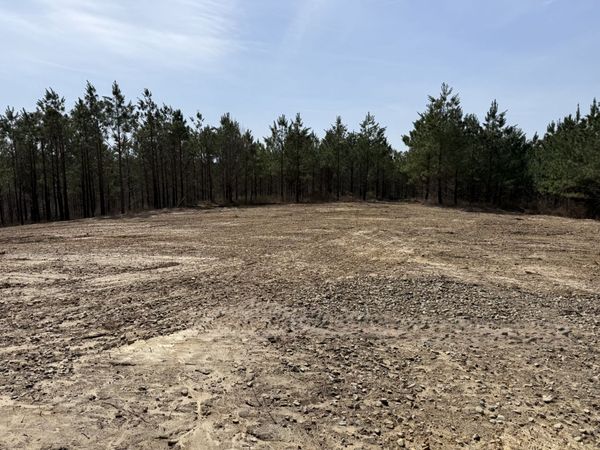 0 Hwy 231 , Erin, TN 37061