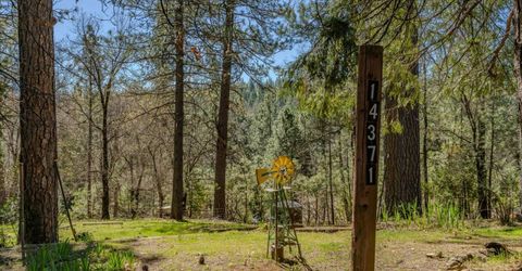 14371 Tobacco Rd, Pine Grove, CA 95665 Photo