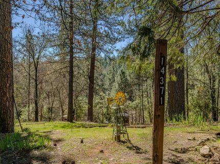 14371 Tobacco Rd, Pine Grove, CA 95665 Photo