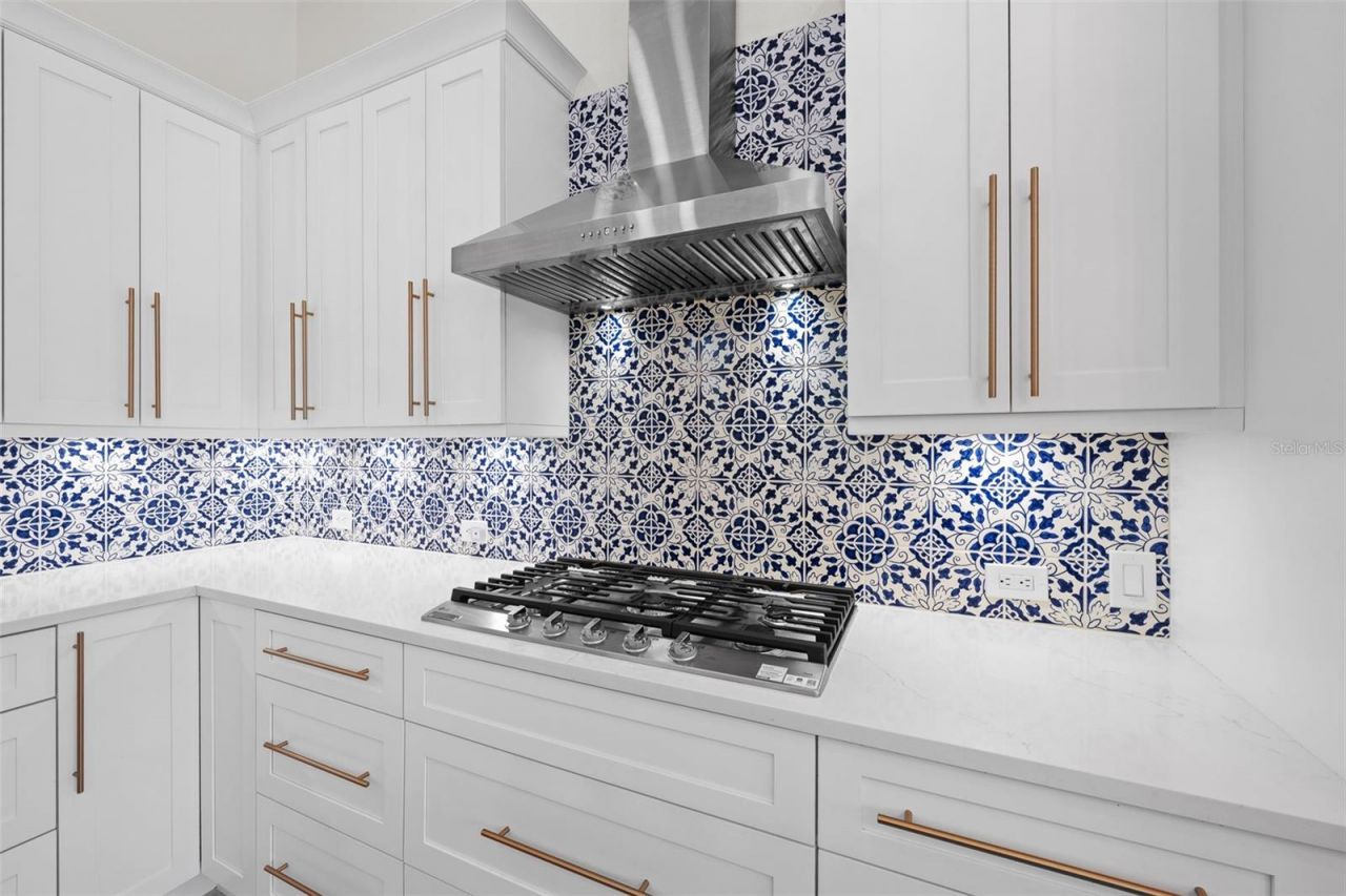 17815 Osprey Pointe Place, Tampa, FL 33647 Photo