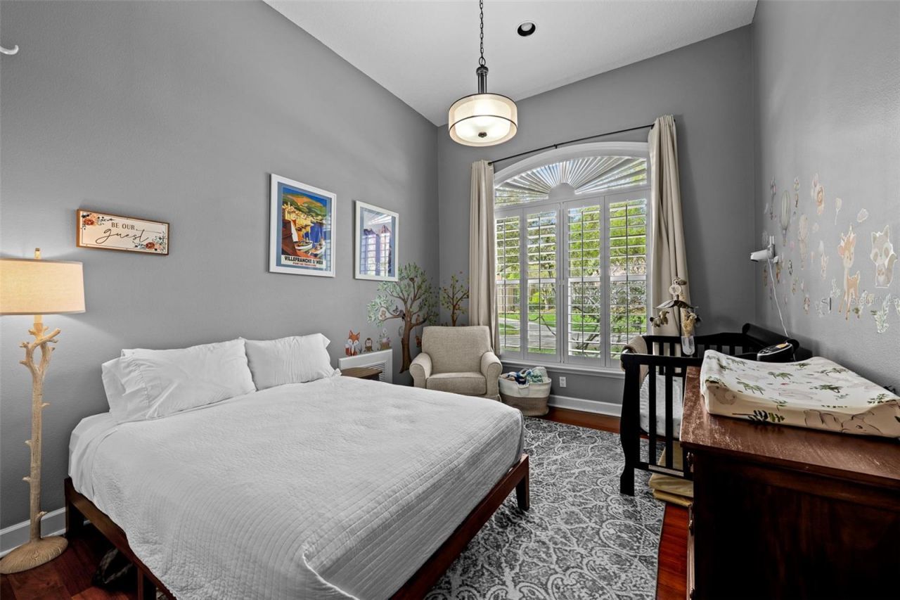 17815 Osprey Pointe Place, Tampa, FL 33647 Photo