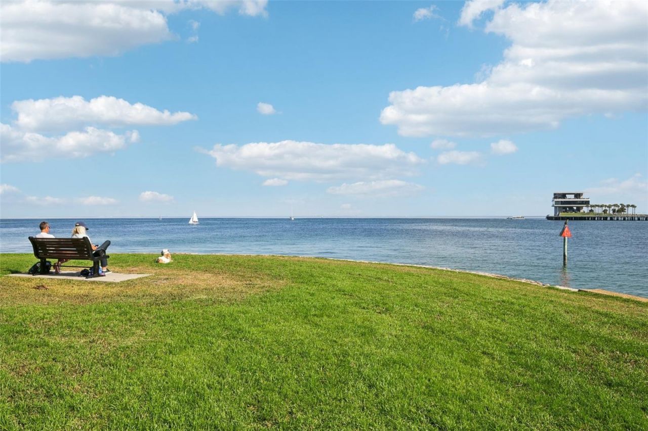 226 5th Avenue N, Unit 801, Saint Petersburg, FL 33701 Photo