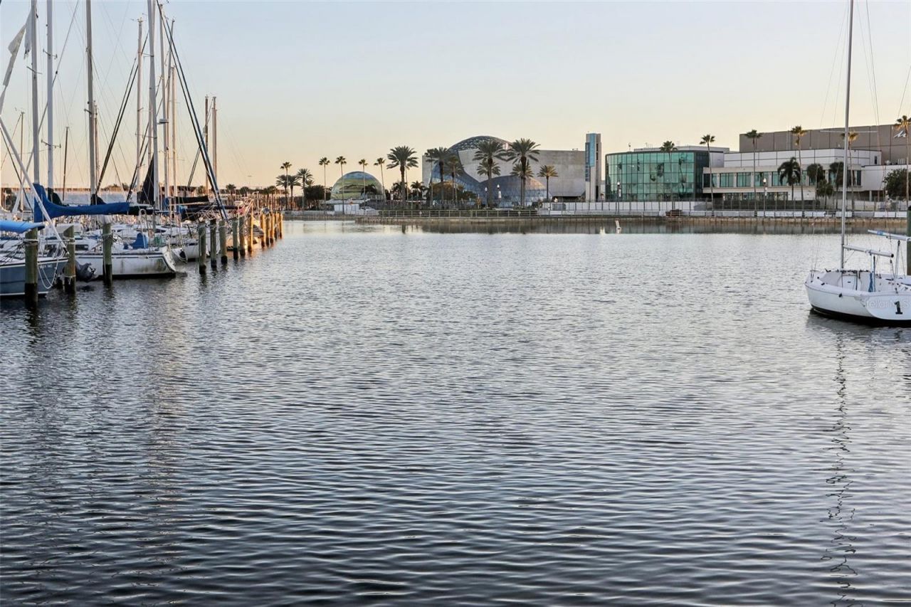 226 5th Avenue N, Unit 801, Saint Petersburg, FL 33701 Photo