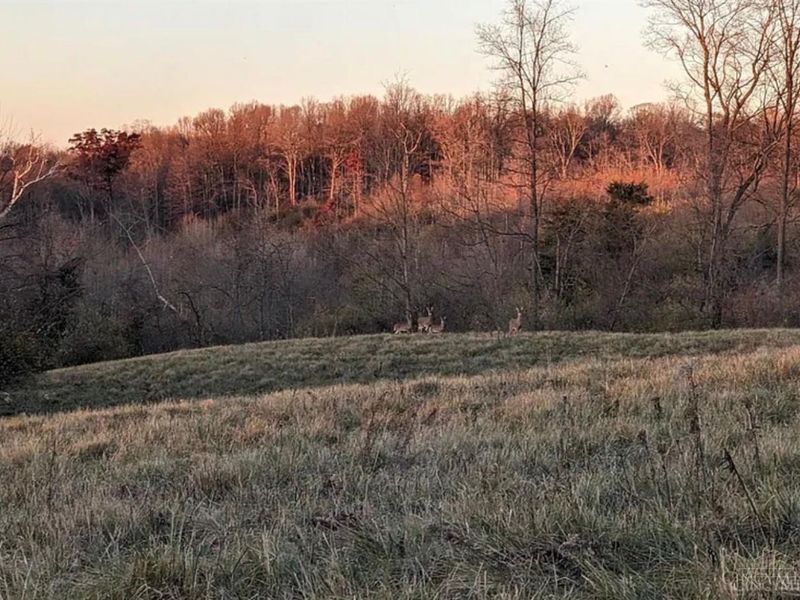 ac Beech Road, Franklin Twp, OH 45106 Photo 1