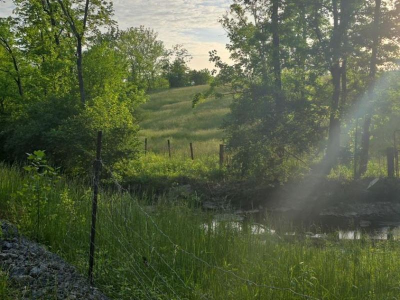ac Beech Road, Franklin Twp, OH 45106 Photo 4