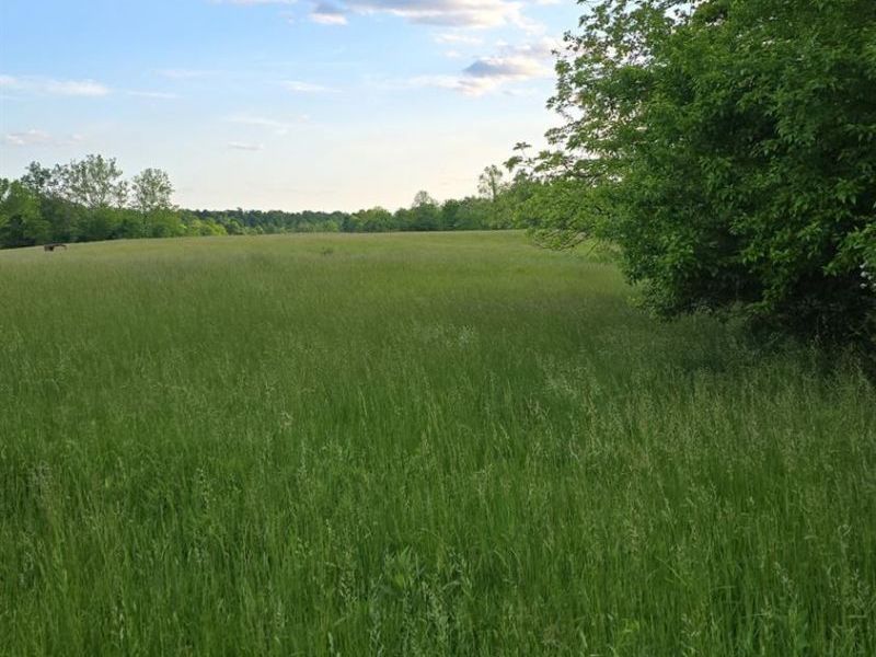 ac Beech Road, Franklin Twp, OH 45106 Photo 8