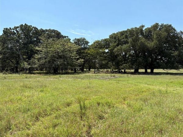 TBD County Road 1168 , Unit 3, Brashear, TX 75420
