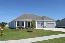 901 Lady Bird Way photo 4