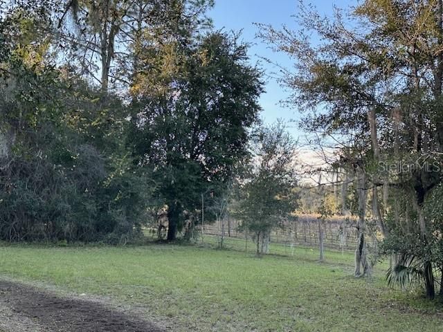 374 Sisco Road , Pomona Park, FL 32181 Photo