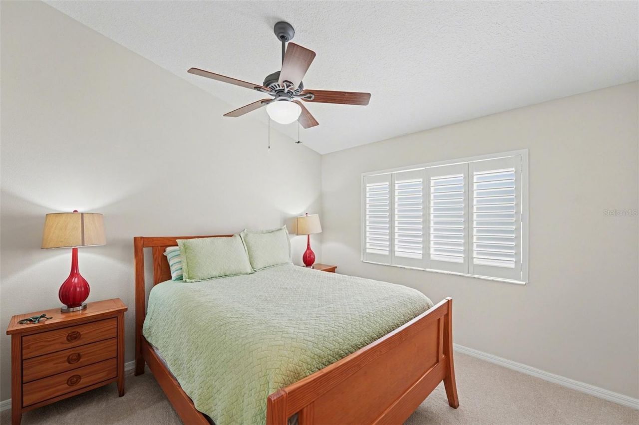 4491 Fallbrook Boulevard, Palm Harbor, FL 34685 Photo