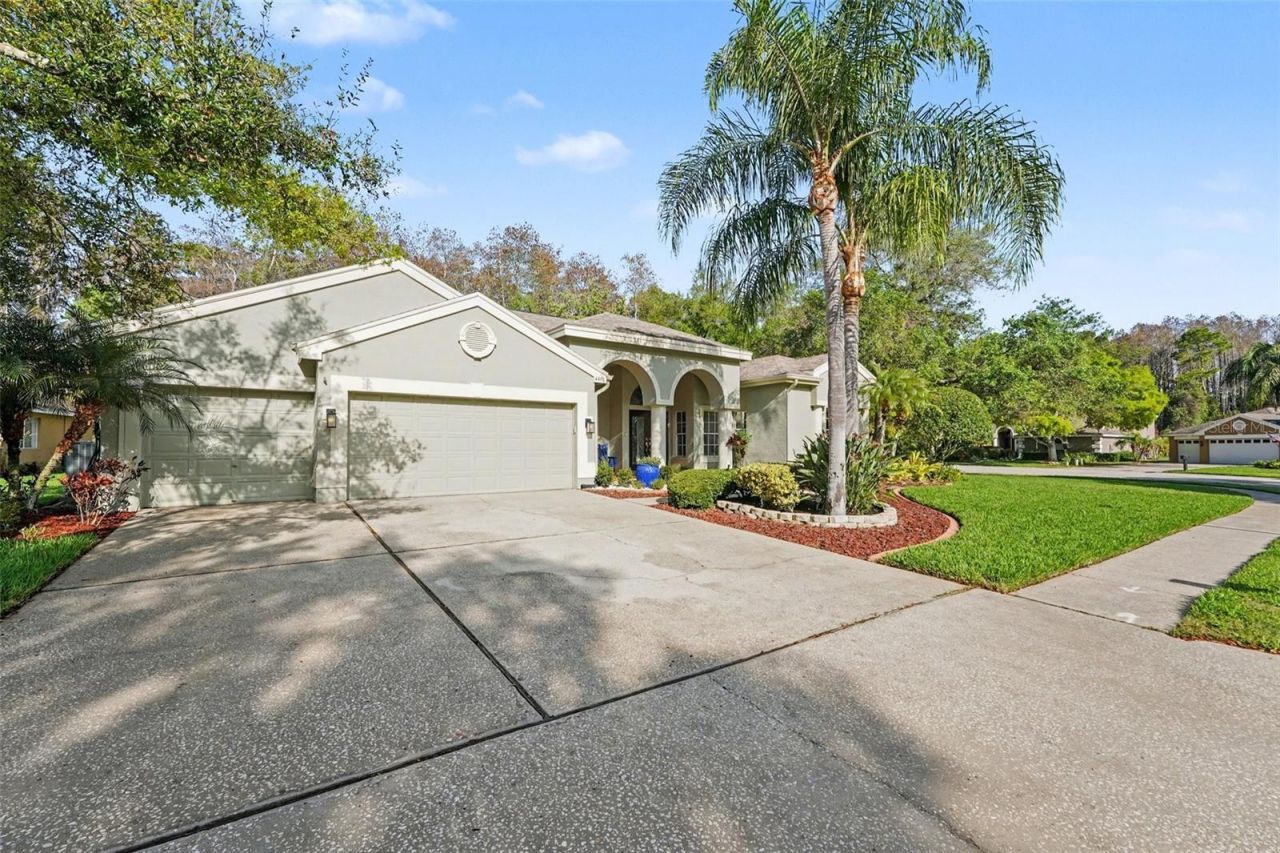 4491 Fallbrook Boulevard, Palm Harbor, FL 34685 Photo