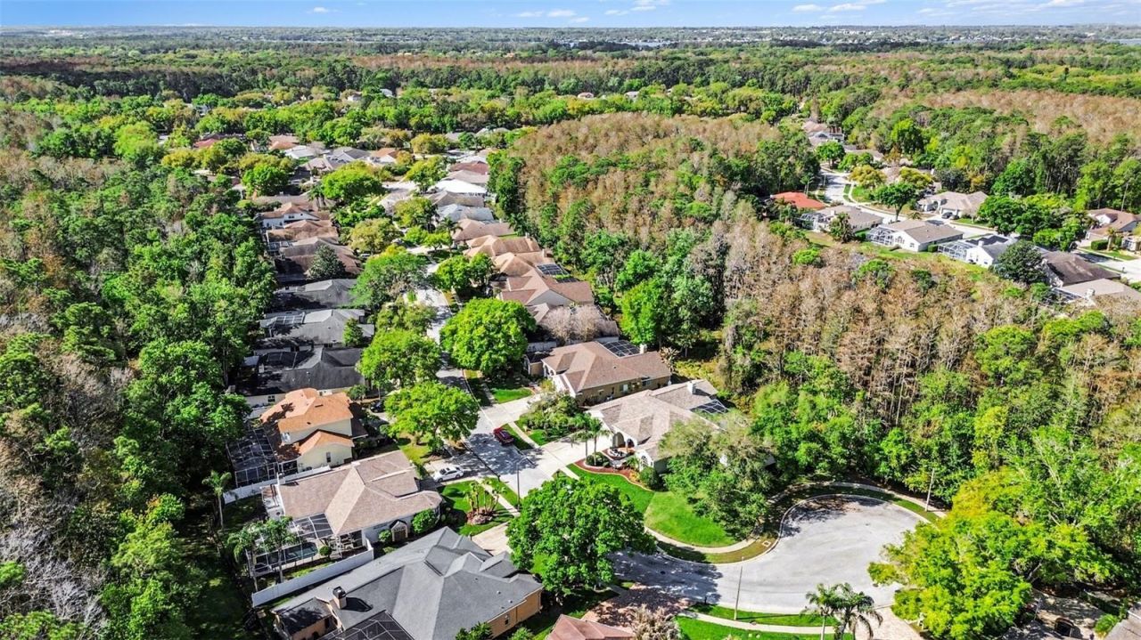 4491 Fallbrook Boulevard, Palm Harbor, FL 34685 Photo