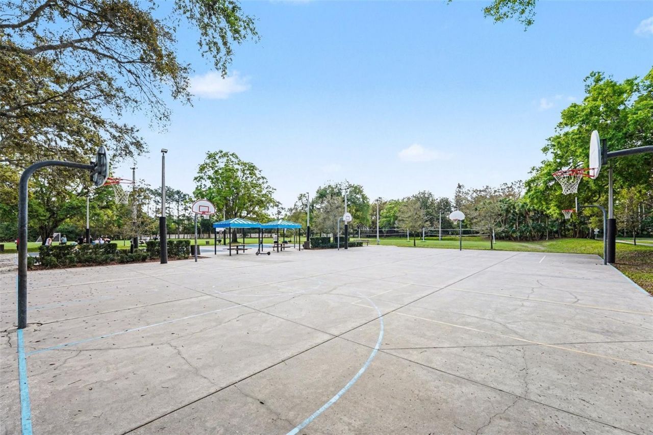 4491 Fallbrook Boulevard, Palm Harbor, FL 34685 Photo