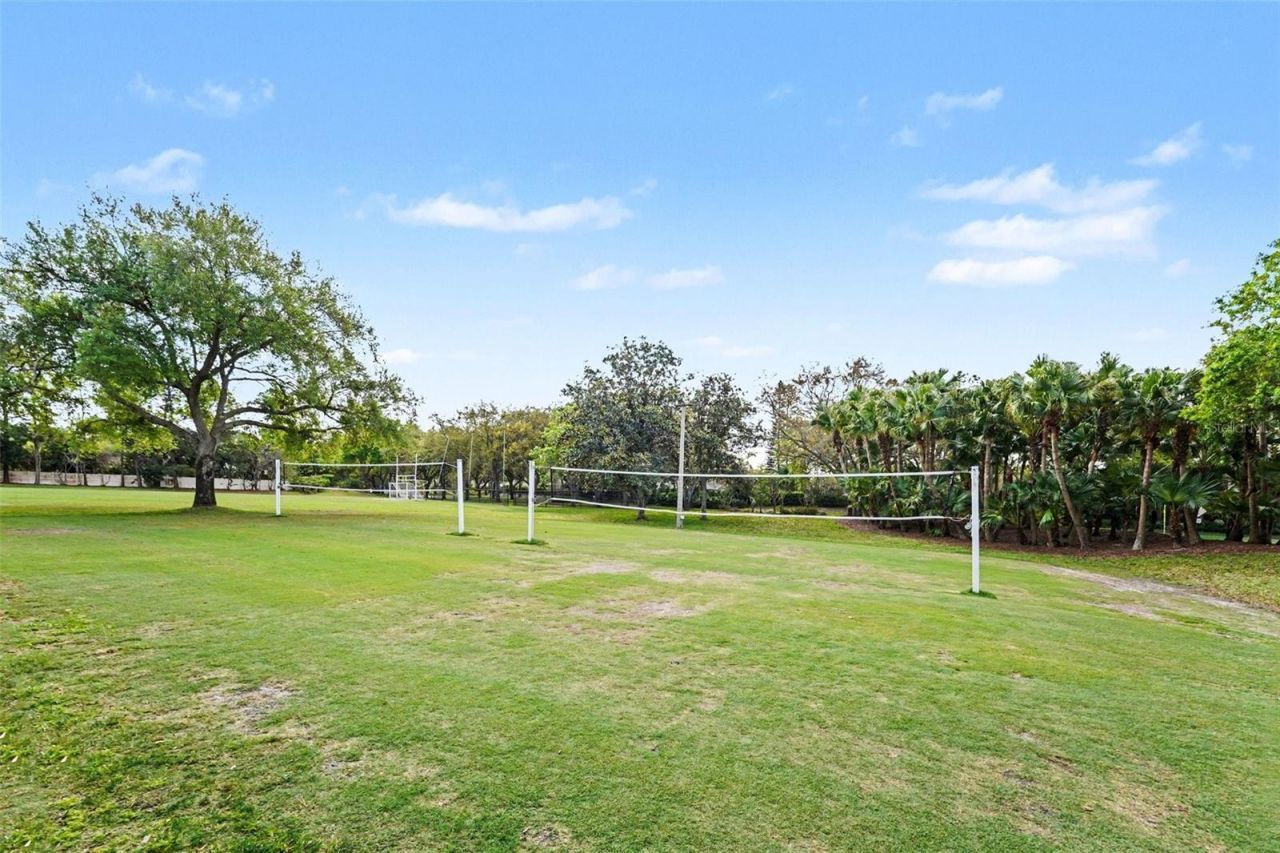 4491 Fallbrook Boulevard, Palm Harbor, FL 34685 Photo