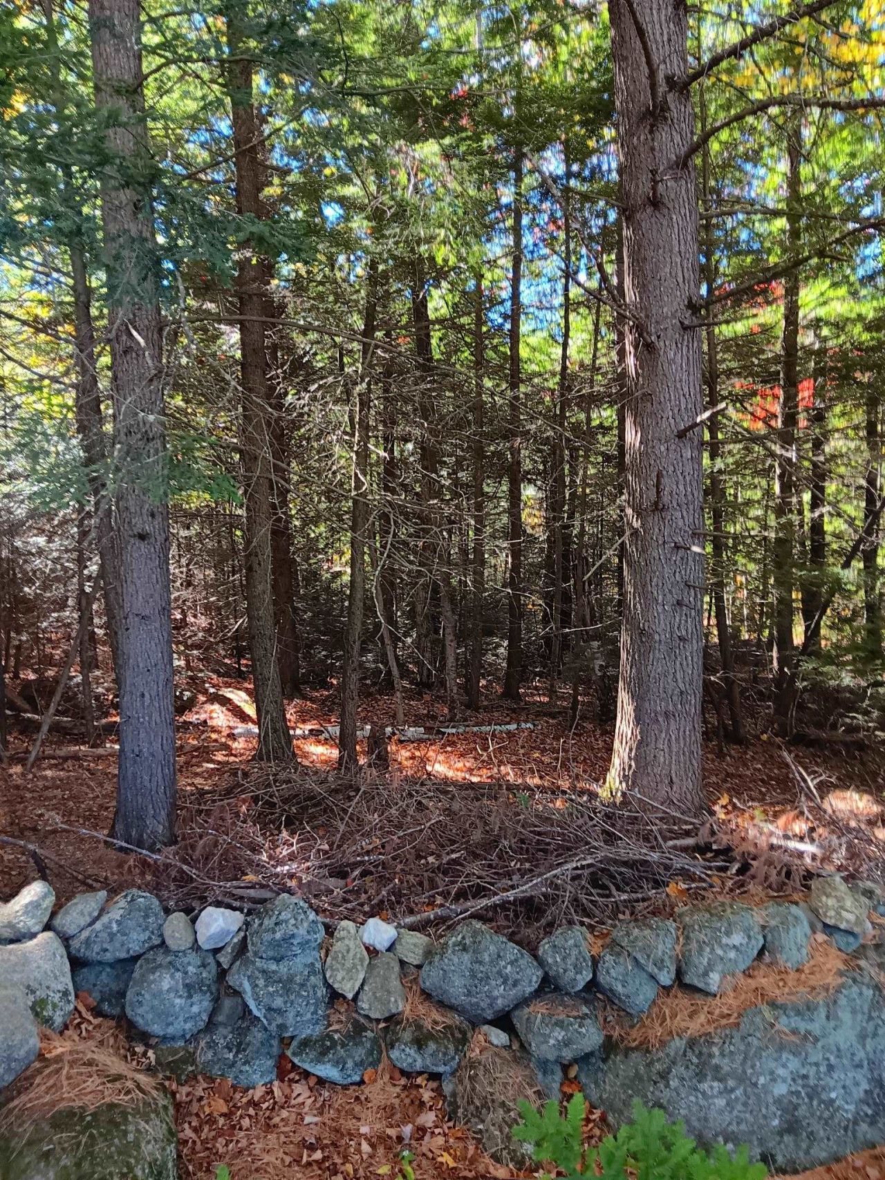 20-46 Dole School House Road, Washington, NH 03280 Main Photo