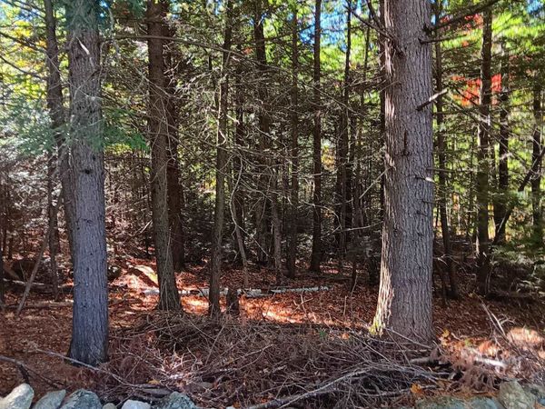 20-46 Dole School House Road, Washington, NH 03280