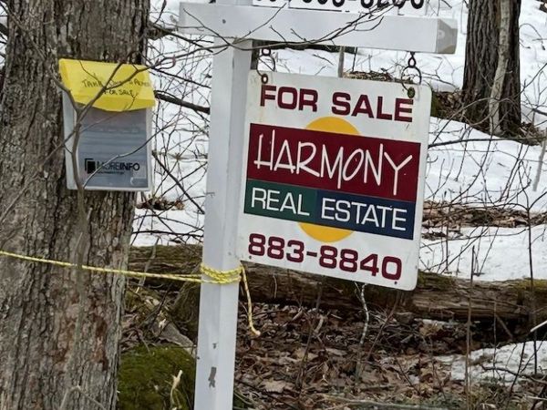 20-46 Dole School House Road, Washington, NH 03280