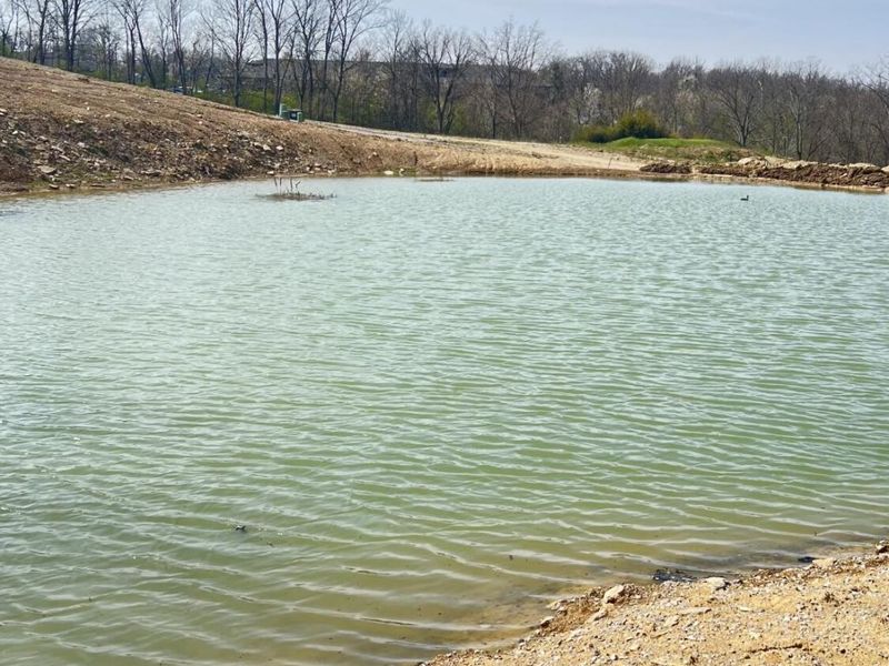 2981 Ambrosia Way, Edgewood, KY 41017 Photo 3