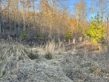 0 Bull Hollow Road, Manchester, KY 40962