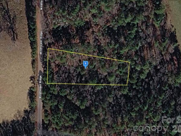 860 Wildflower Ridge, Warne, NC 28909