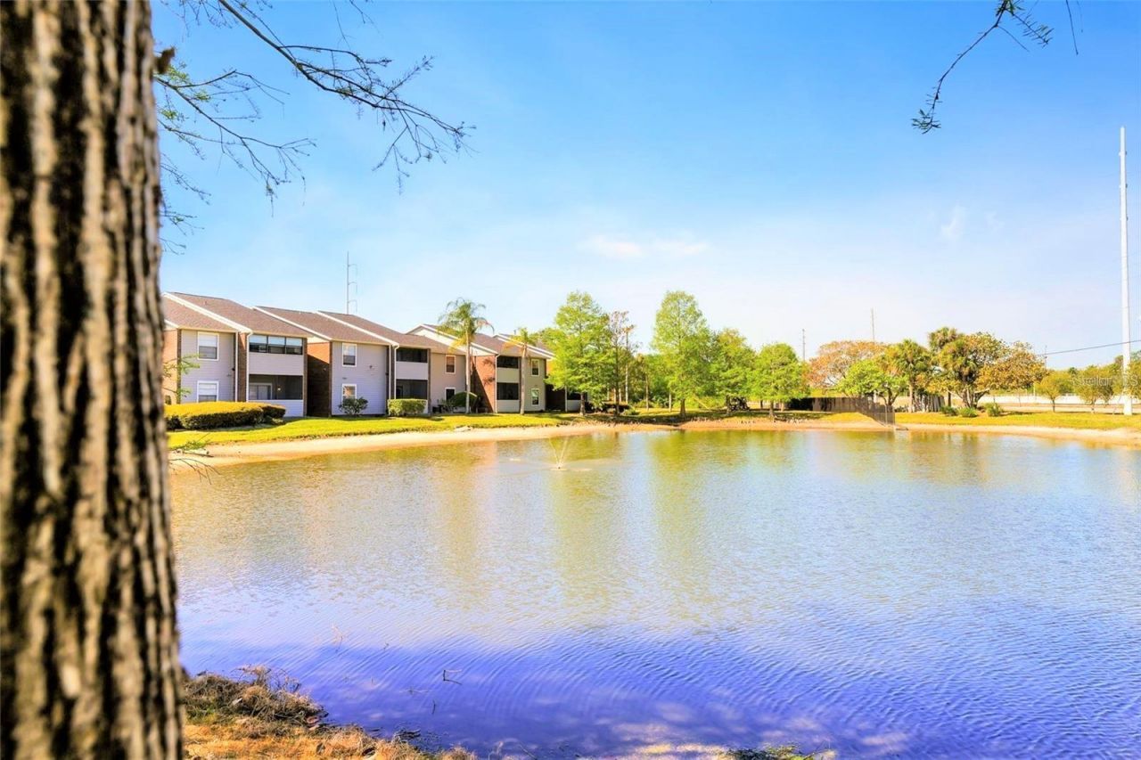 1400 Gandy Boulevard N, Unit 113, Saint Petersburg, FL 33702 Photo