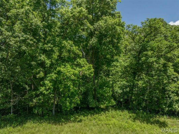 2543 Alpine Woods Drive , Innsbrook, MO 63390