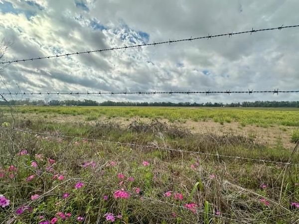 SW 80th St, Trenton, FL 32693