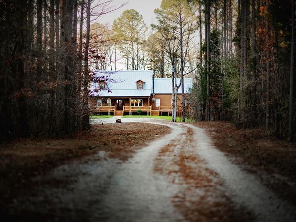 822 Cr 244, Abbeville, MS 38601