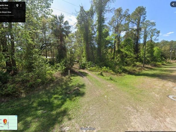 433 GARDENIA AVENUE , GEORGETOWN, FL 32139