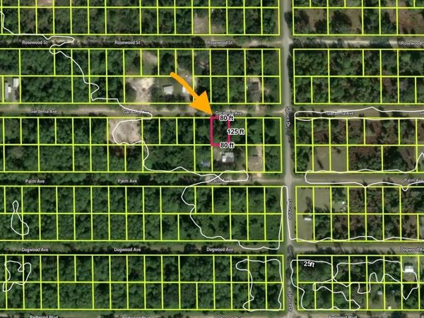 433 GARDENIA AVENUE, GEORGETOWN, FL 32139