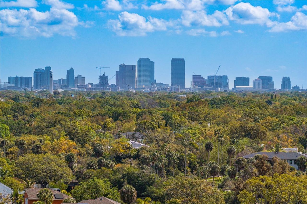 12 S Treasure Drive, Tampa, FL 33609 Photo