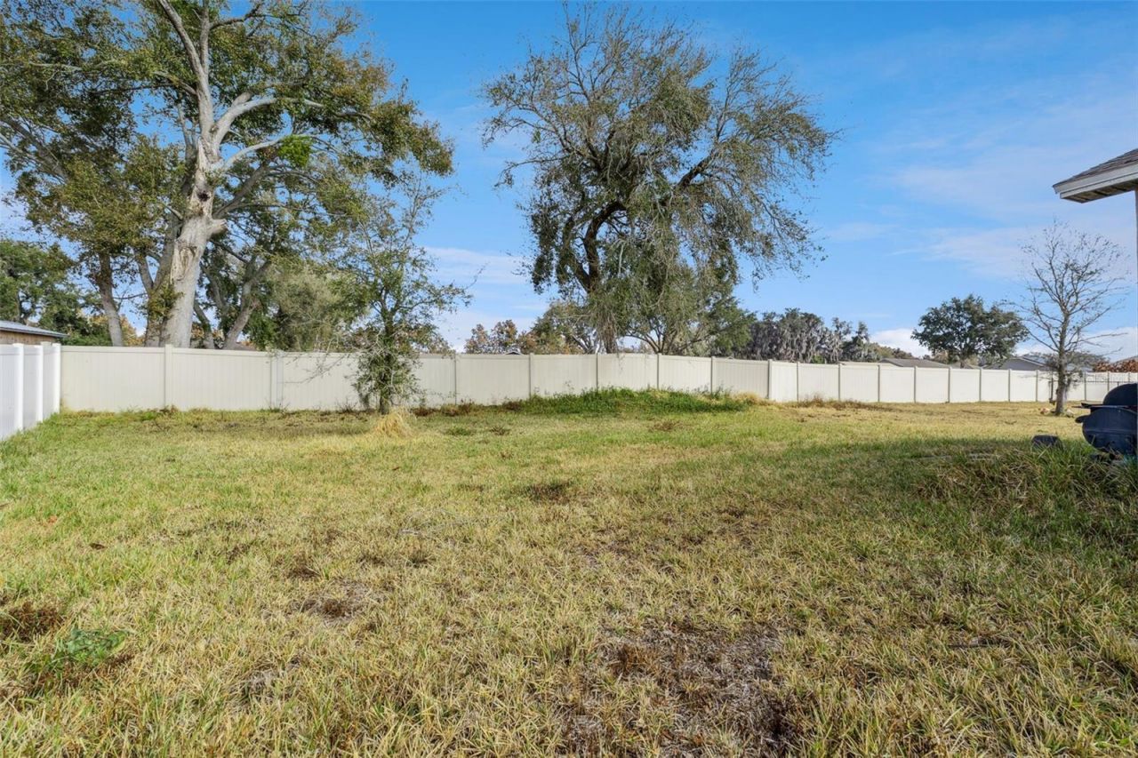 206 Lake Mariana Place, Auburndale, FL 33823 Photo